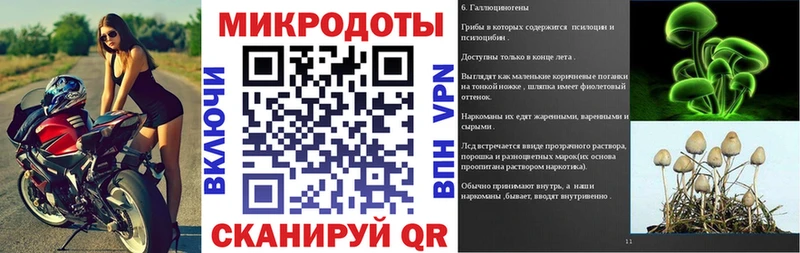 где найти   Власиха  hydra как зайти  Галлюциногенные грибы Psilocybe 