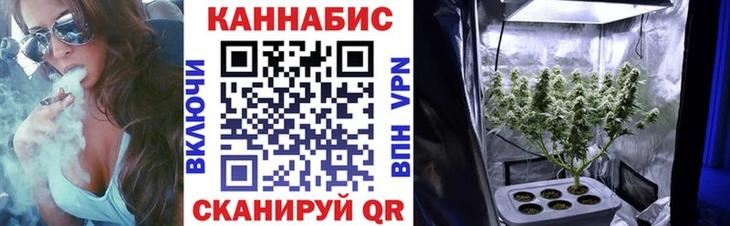 купить   Власиха  Марихуана OG Kush 